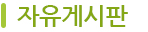 자유게시판